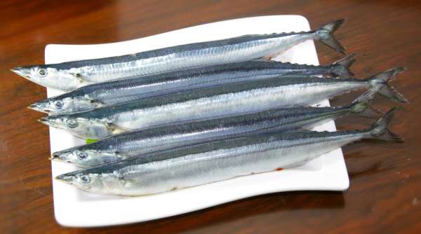 秋刀魚