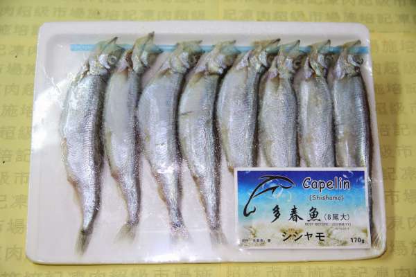 多春魚